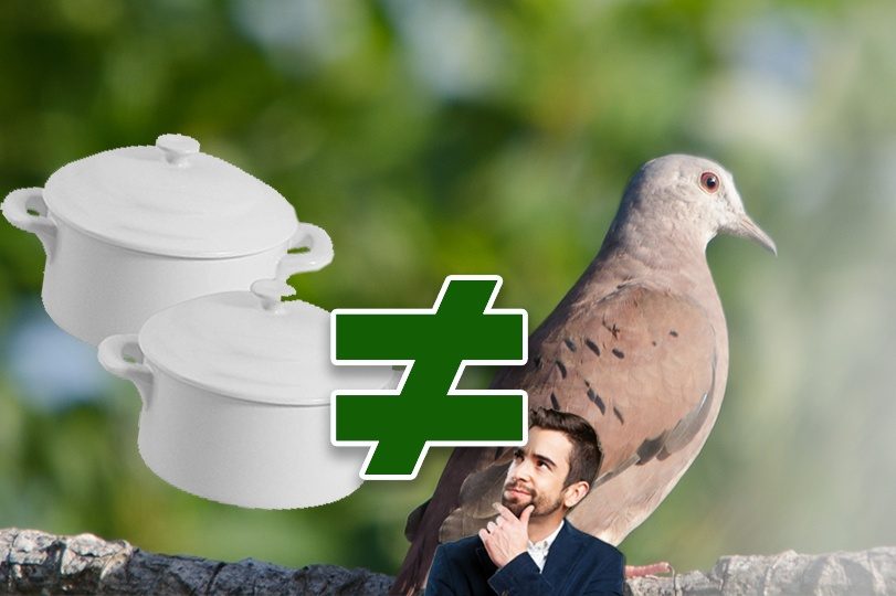 Não confunda “Caçarolinha” com “Caçar Rolinha”